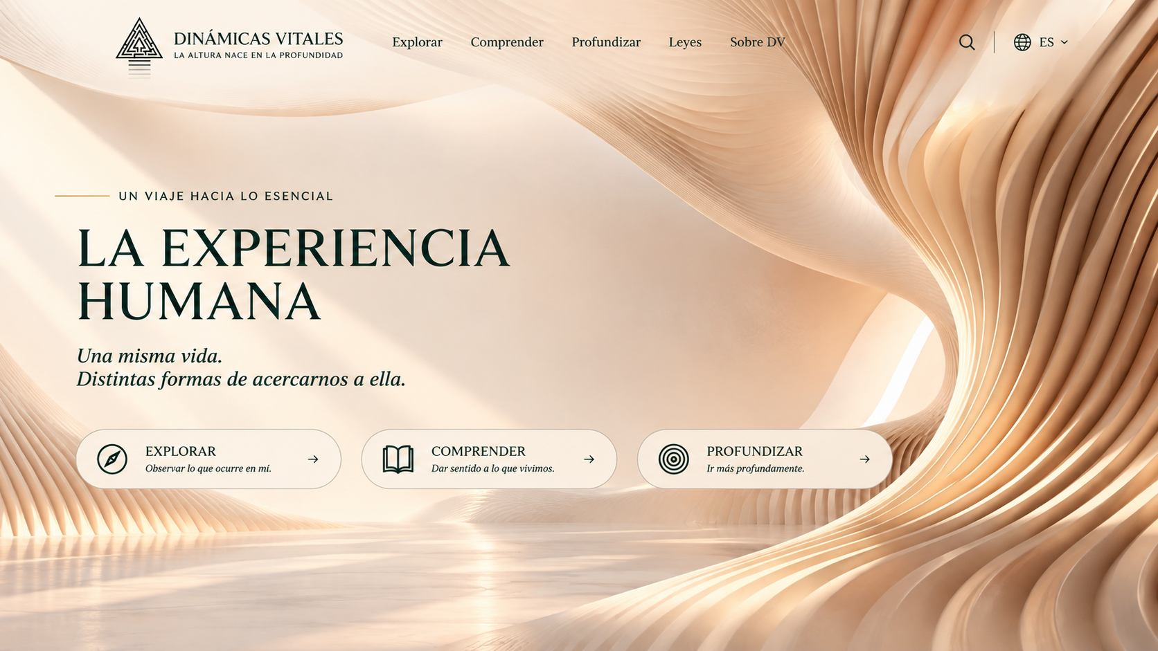 Dinámicas Vitales — La experiencia humana
